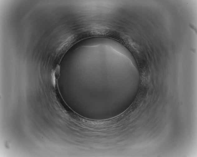 X0000098010027200804071339