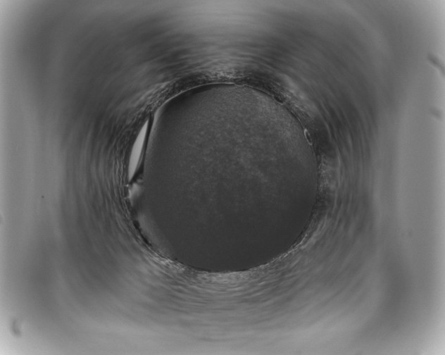 X0000098010029200804071339