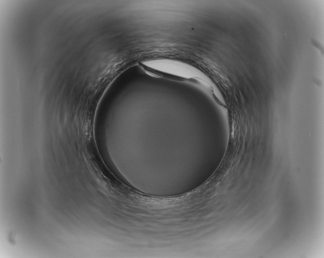 X0000098010031200804071339