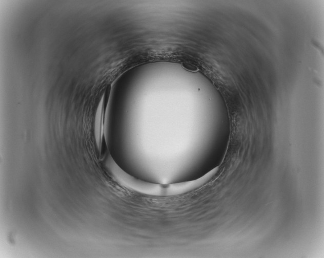 X0000098010033200804071339