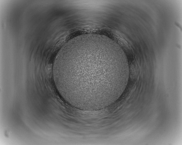 X0000098010034200804071339