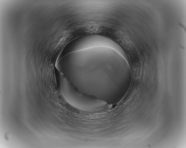 X0000098010035200804071339