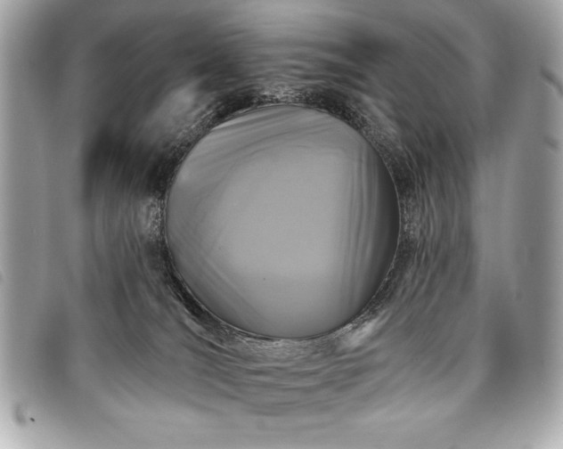 X0000098010036200804071339