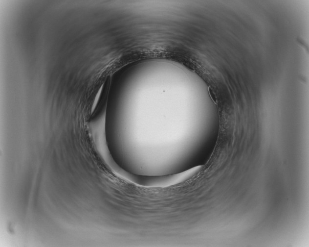 X0000098010037200804071339