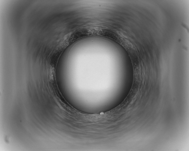 X0000098010038200804071339