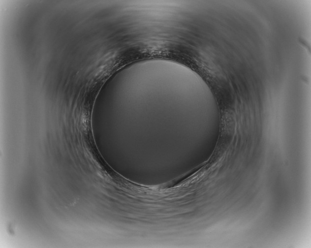 X0000098010039200804071339