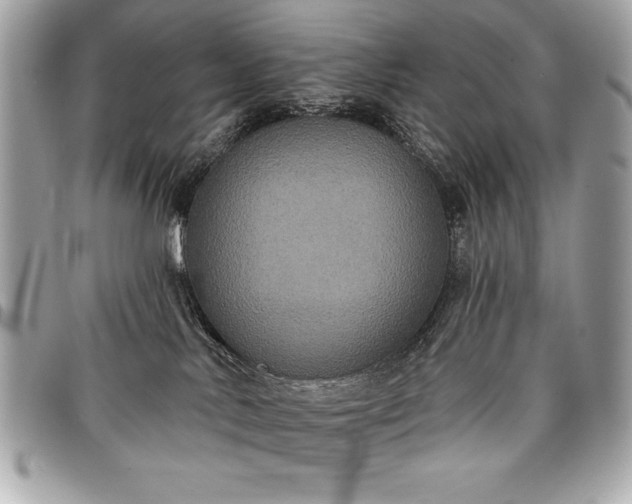 X0000098010042200804071339