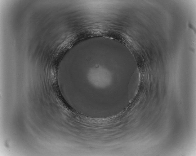 X0000098010043200804071339