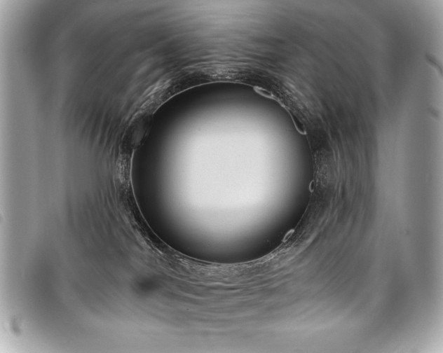 X0000098010044200804071339