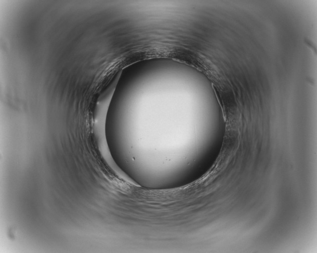 X0000098010045200804071339