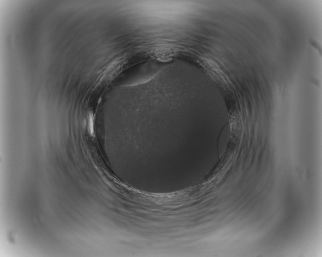 X0000098010046200804071339