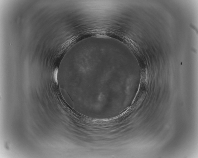 X0000098010047200804071339