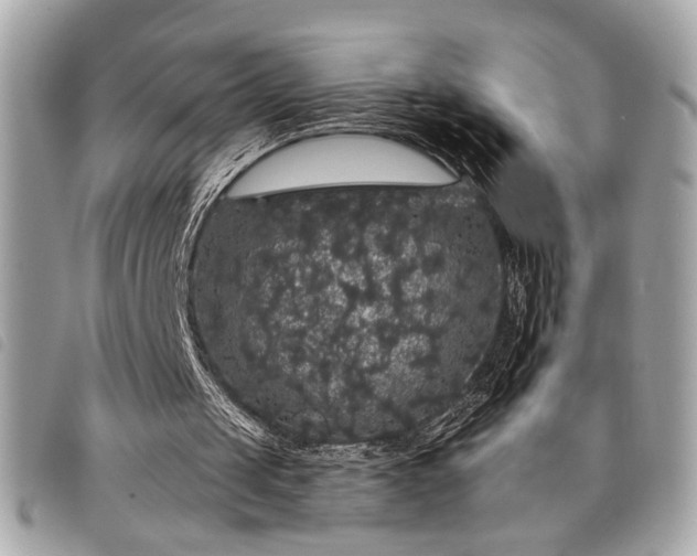 X0000098010049200804071338