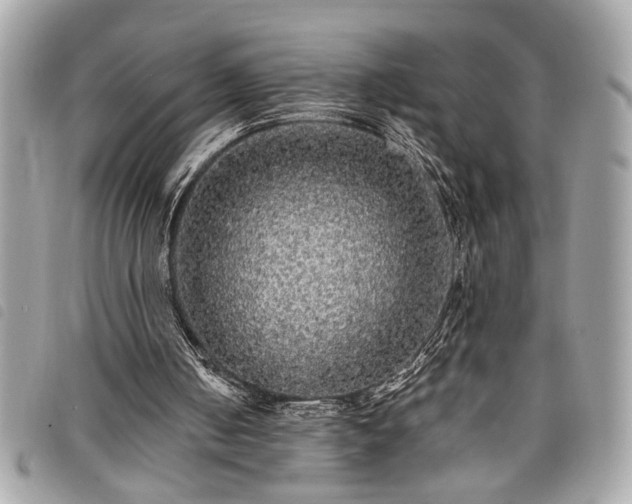 X0000098010050200804071338