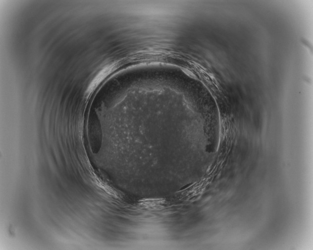 X0000098010051200804071338