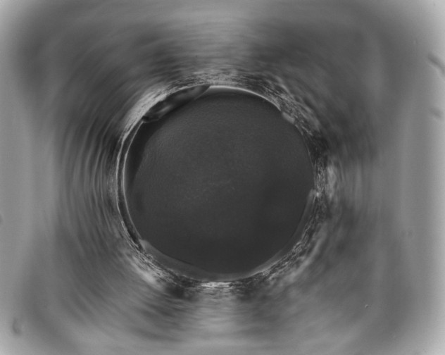 X0000098010052200804071338