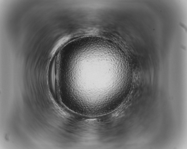 X0000098010054200804071338