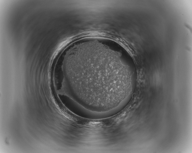 X0000098010055200804071338