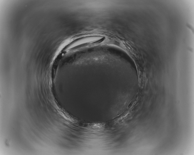 X0000098010056200804071338