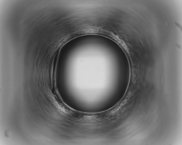 X0000098010057200804071338