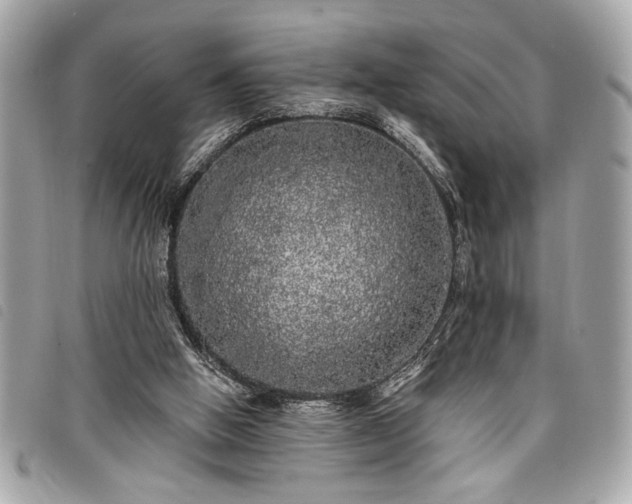 X0000098010058200804071338