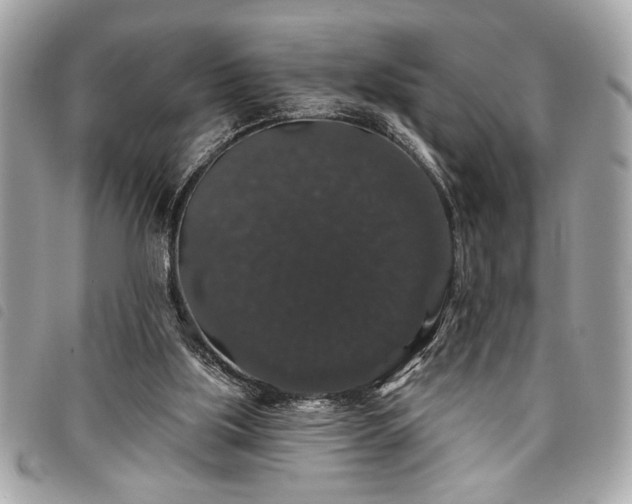 X0000098010059200804071338