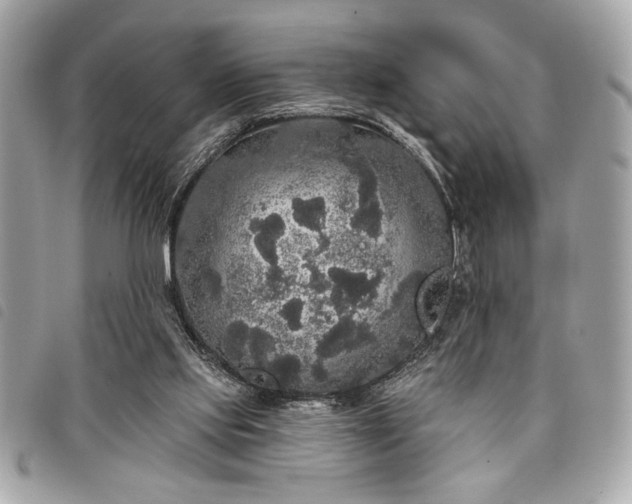 X0000098010061200804071338