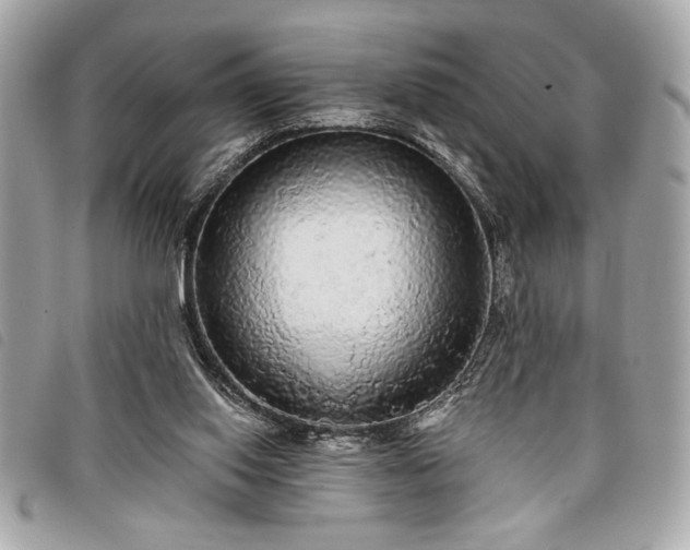 X0000098010062200804071338