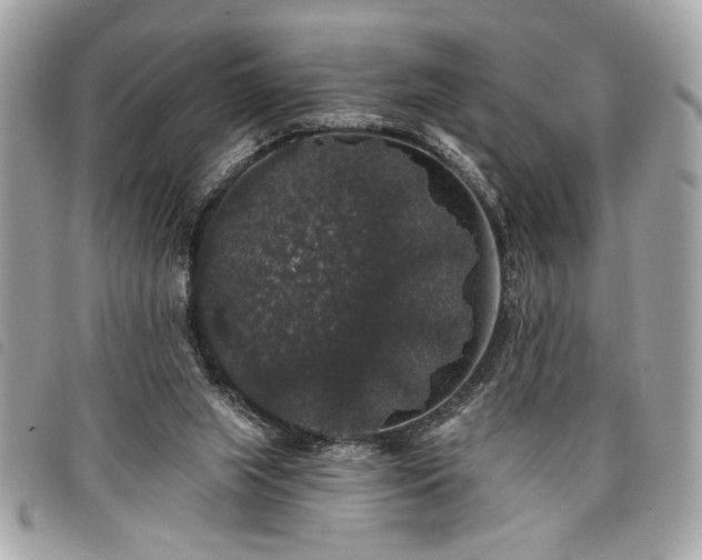 X0000098010063200804071338