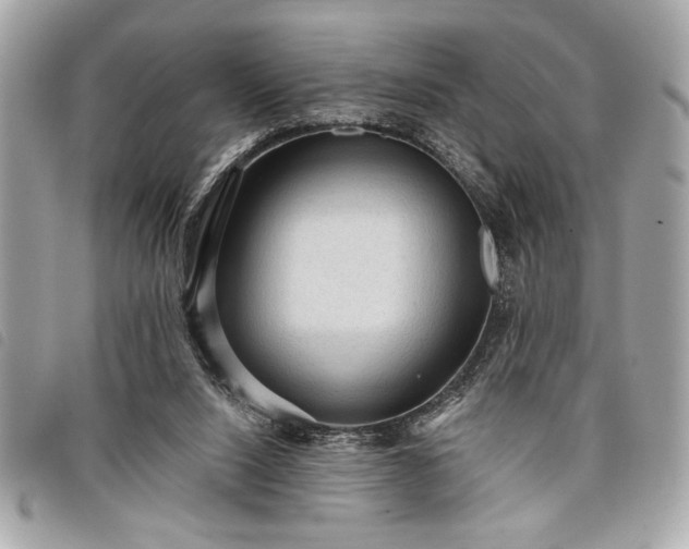 X0000098010064200804071338