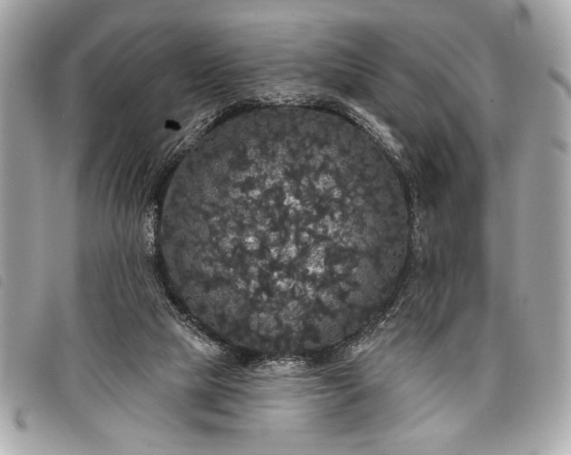 X0000098010065200804071338