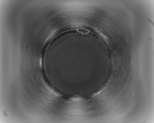 X0000098010067200804071338