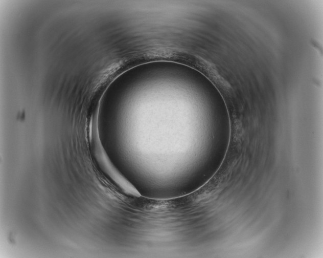 X0000098010068200804071338