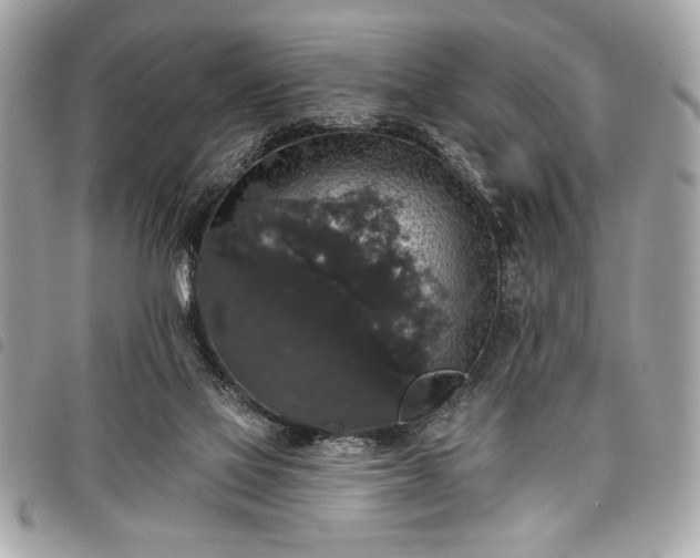 X0000098010069200804071338