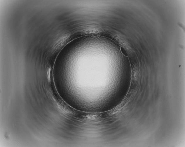 X0000098010070200804071338