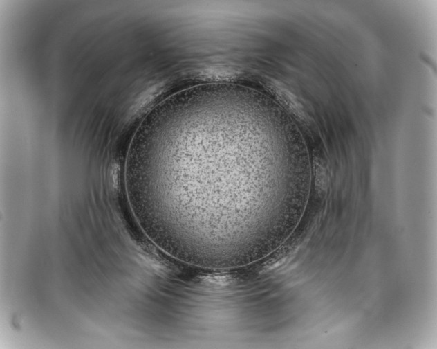 X0000098010071200804071338