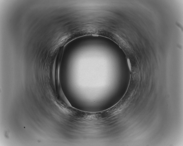 X0000098010072200804071338