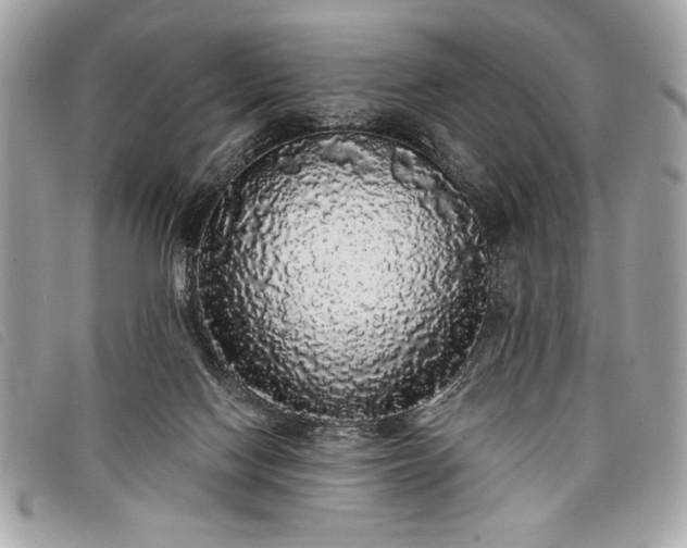 X0000098010074200804071338