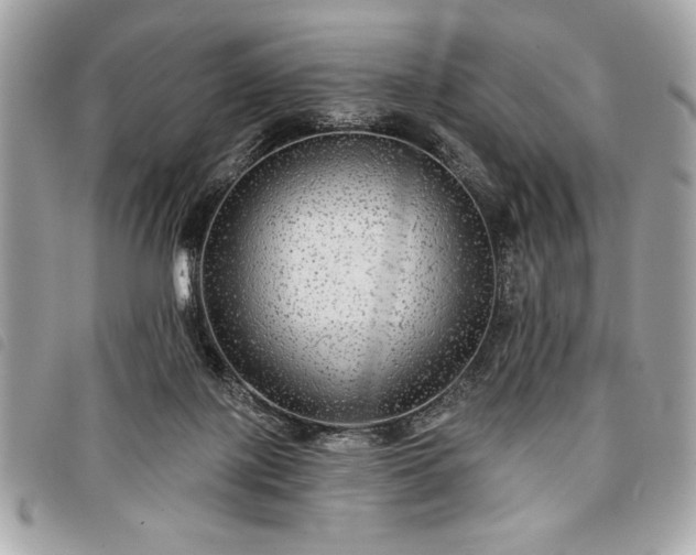 X0000098010075200804071338