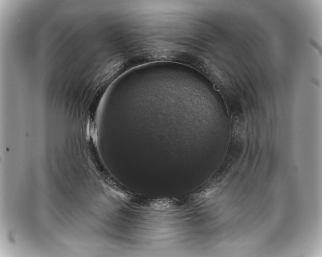 X0000098010076200804071338