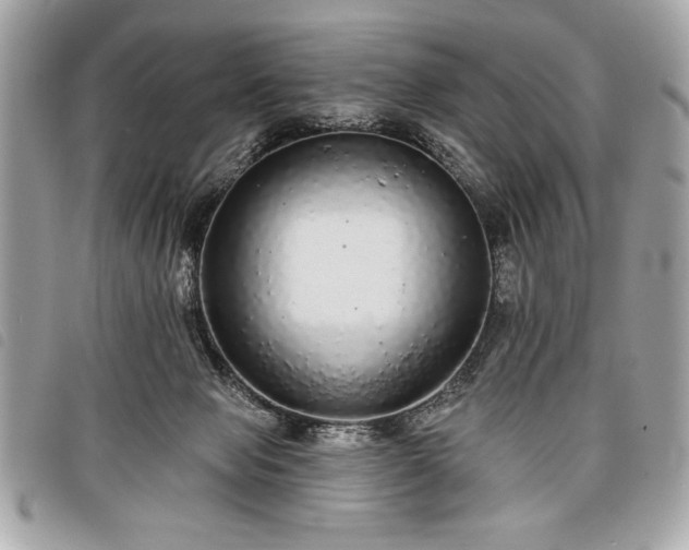 X0000098010077200804071338