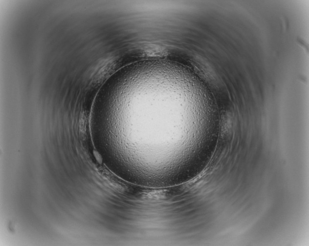 X0000098010078200804071338