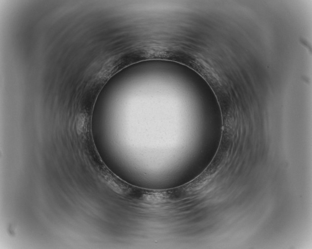 X0000098010079200804071338