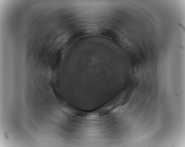 X0000098010080200804071338