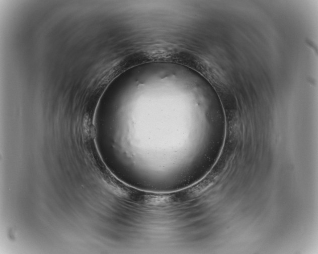 X0000098010081200804071339