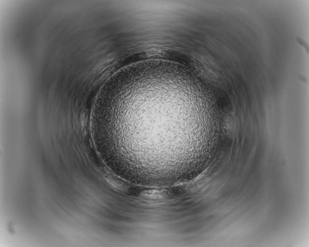 X0000098010082200804071339