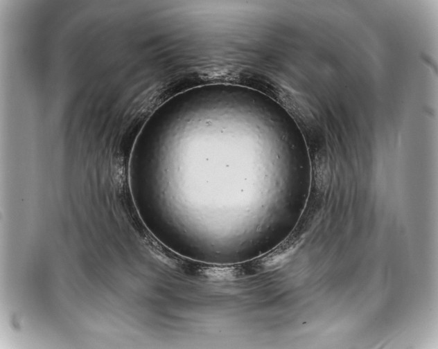 X0000098010085200804071339