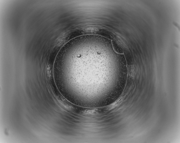 X0000098010086200804071339