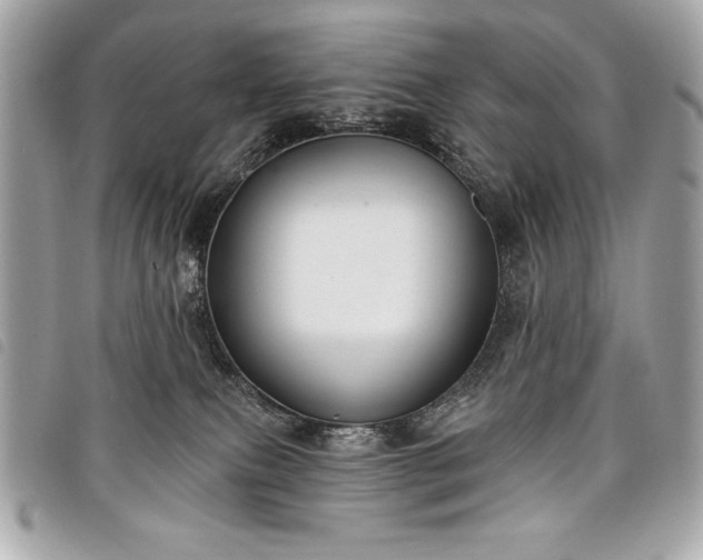 X0000098010087200804071339