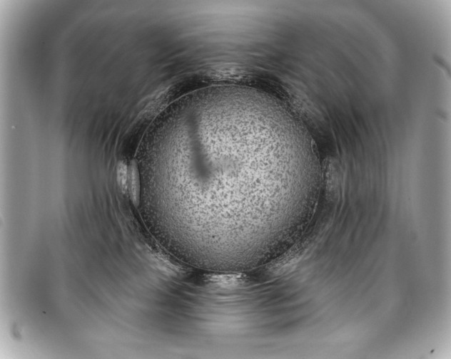 X0000098010089200804071339